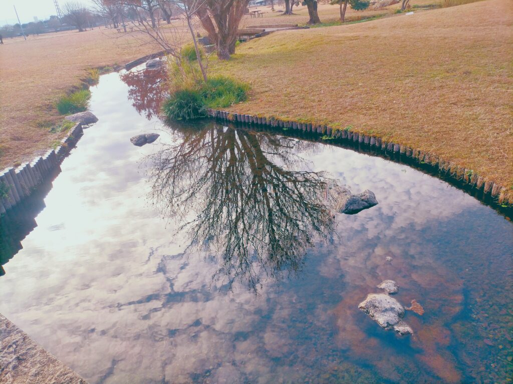 江津湖公園
