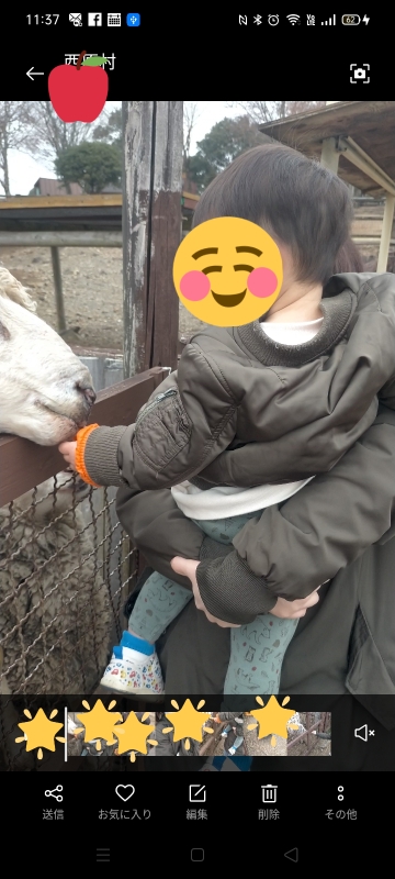 ミルク牧場　羊へのエサやり体験