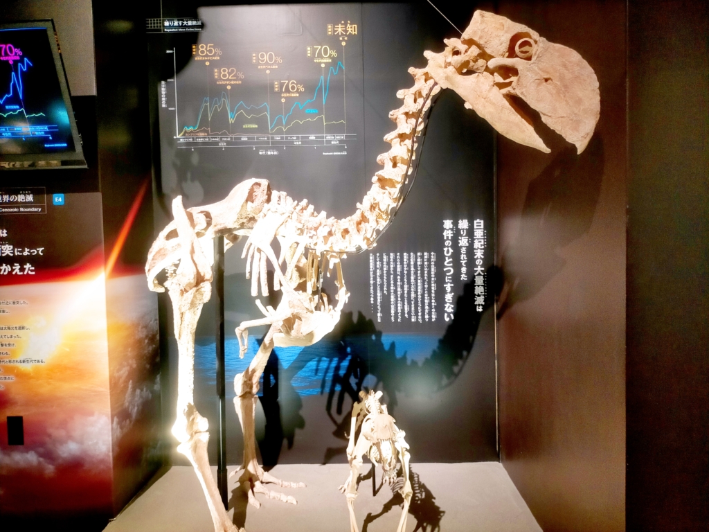 御船町恐竜博物館　化石