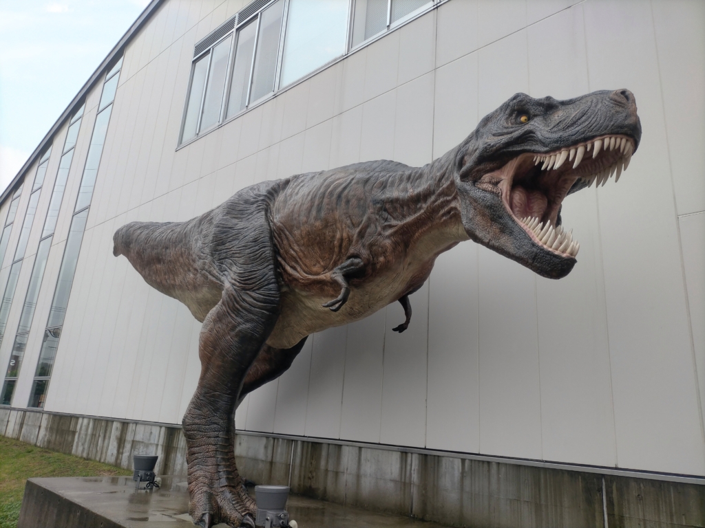 御船町恐竜博物館　ティラノサウルス